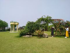 -鹅湖玫瑰文化园