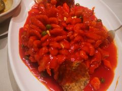 -蝶园·装修中(BFC外滩金融中心店)