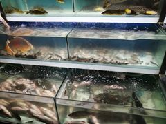 -盒马鲜生(红莲店)