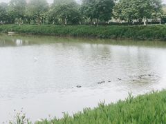 -琅岐红光湖公园