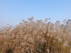 -南京眼步行桥
