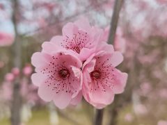 -白塘生态植物园