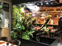 -森味薪火烧•烧鸟居酒屋•日本料理(望京店)