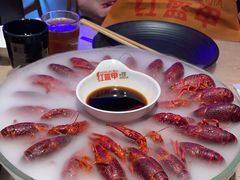 -红盔甲·小龙虾(车公庙店)