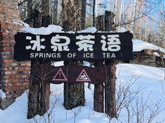-峡谷浮石林景区