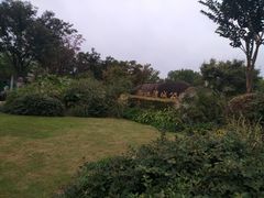 -新江湾城公园