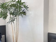 -M Stand(西安大悦城店)