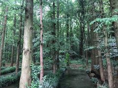 -同里国家湿地公园
