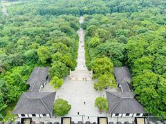 -宜兴龙背山森林公园