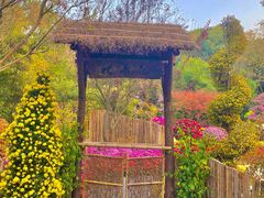 -杭州植物园
