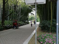 -苏州河梦清园环保主题公园