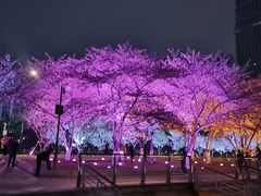 -西北湖绿化广场