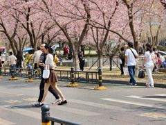 -西北湖绿化广场