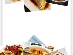 -前海沿·青岛菜(大拇指广场石老人店)