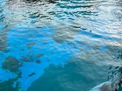 -珠海长隆海洋王国