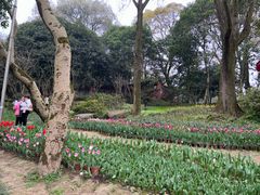 -南山植物园