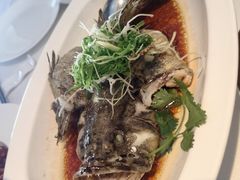 -顺峰(农展馆店)