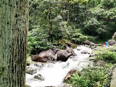 -雁荡山大龙湫景区