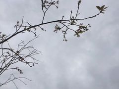 -金山植物公园