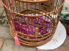 -Rabbit Cafe私房西餐甜点咖啡(栖霞路店)