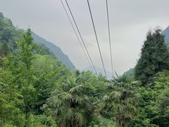 -龙窝子