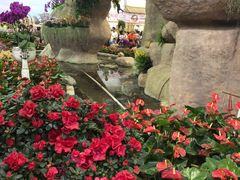 -东南花都花博园
