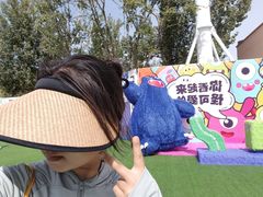 -秦皇岛乐岛海洋王国