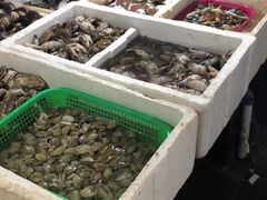 -金巴兰鱼市场