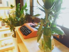 -猫的天空之城概念书店(杭州南宋御街店)