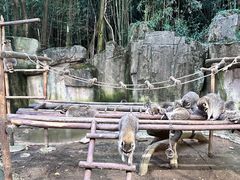 -杭州野生动物世界