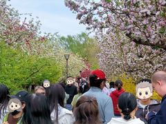 -元大都城垣遗址公园