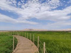 -哈密雅丹大海道景区