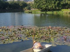 -荔湾湖公园