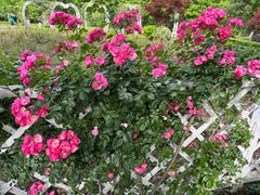 -昆山城市生态森林公园