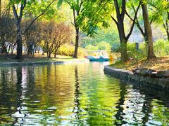 -上海共青森林公园