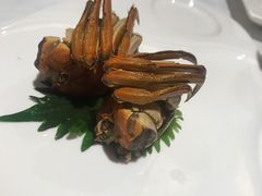 -洋洋中餐馆·SINCE 1997(信投店)