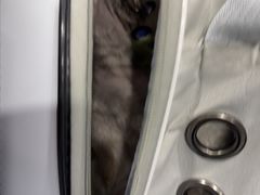 -宠物星动物医院·眼科·异宠·猫科(江南大道总院)