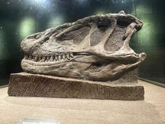 -自贡恐龙博物馆