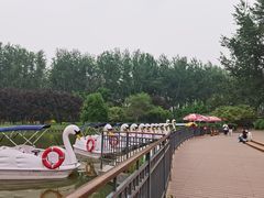 -仁和公园(顺义区)