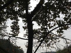 -韶山毛泽东同志故居