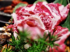 -炭虎烤肉(桂林路店)