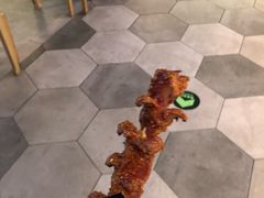 -自黑豆夫·臭豆腐夹馍(四海唐人街店)