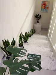 -海涛医疗美容·面部抗衰·注射美鼻