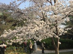 -西安青龙寺遗址景区