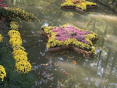 -汇龙潭