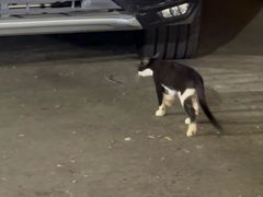 -新合益乡村农庄