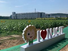 -南京信息职业技术学院