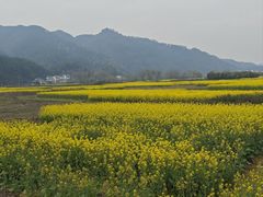 -新安江山水画廊风景区