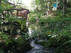 -绿光森林餐厅