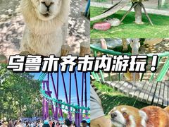 -水上乐园·欢乐世界